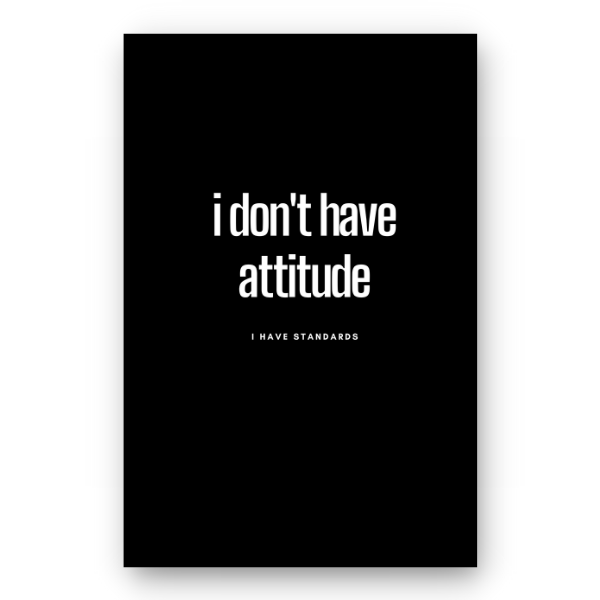 Notebook I DON'T HAVE ATTITUDE - Best Lined Notebook for daily journaling, help you reach your goals, manifest dreams and live your best life
